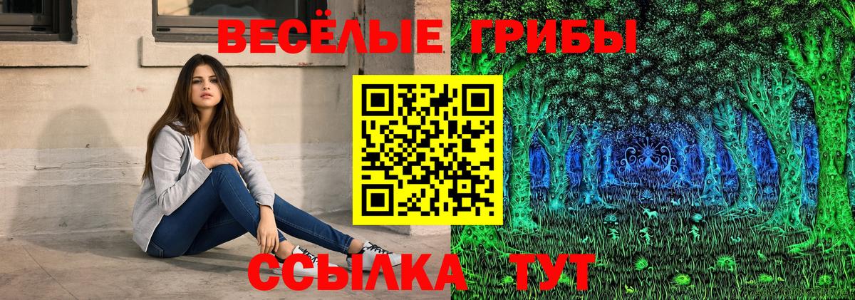 Галлюциногенные грибы Psilocybe  Псилоцибиновые грибы мицелий  Вход с VPN  Удомля 